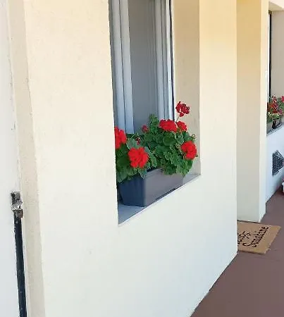 David Apartman דירה